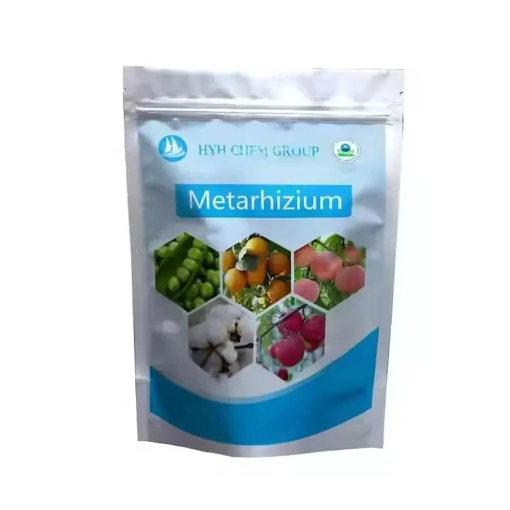 Factory Supplier Insecticide Metarhizium Anisopliae CAS67892-13-1 10 Billion CFU/g