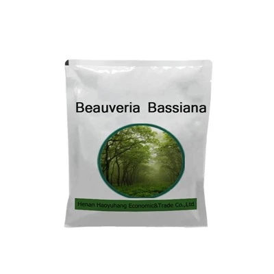 Beauveria Bassiana 150 miliardi di spore per grammo SP Tipo di fungo entomopatogeno